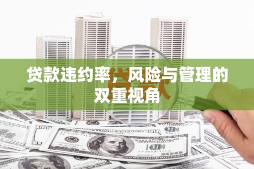 库尔勒贷款违约率，风险与管理的双重视角