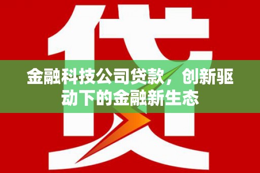 库尔勒金融科技公司贷款，创新驱动下的金融新生态