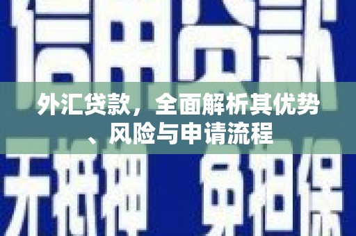 库尔勒外汇贷款，全面解析其优势、风险与申请流程