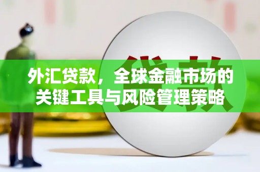 库尔勒外汇贷款，全球金融市场的关键工具与风险管理策略