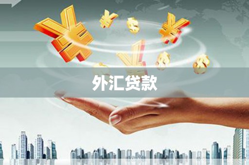 库尔勒外汇贷款