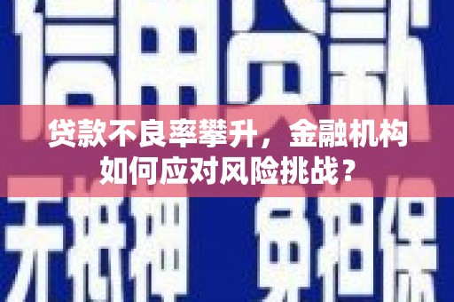 库尔勒贷款不良率攀升，金融机构如何应对风险挑战？