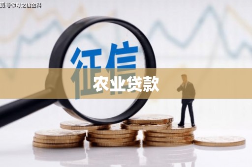 库尔勒农业贷款