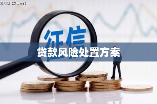 库尔勒贷款风险处置方案