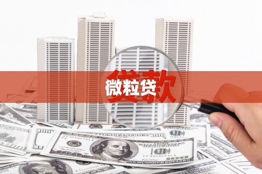 库尔勒微粒贷