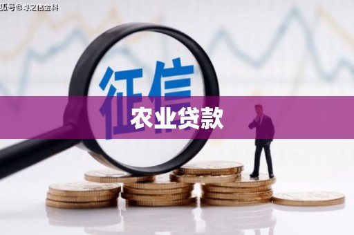 库尔勒农业贷款
