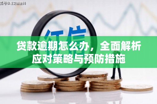 库尔勒贷款逾期怎么办，全面解析应对策略与预防措施