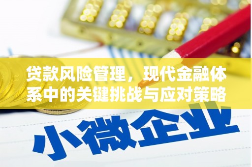 库尔勒贷款风险管理，现代金融体系中的关键挑战与应对策略