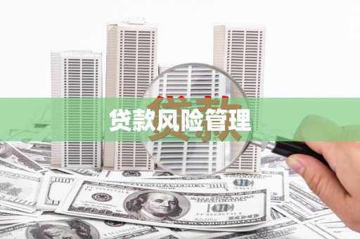 库尔勒贷款风险管理