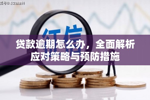 库尔勒贷款逾期怎么办，全面解析应对策略与预防措施