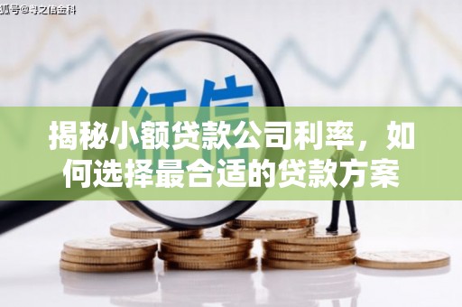库尔勒揭秘小额贷款公司利率，如何选择最合适的贷款方案