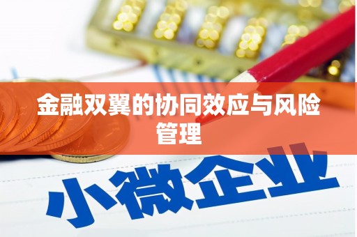 库尔勒金融双翼的协同效应与风险管理