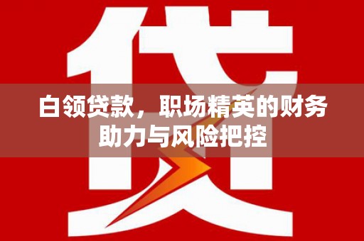 库尔勒白领贷款，职场精英的财务助力与风险把控